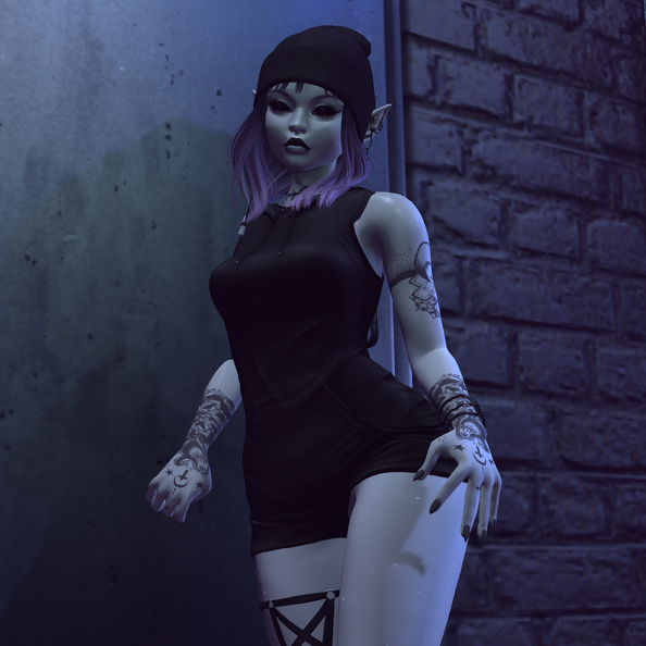 Snapshot_034-2.png